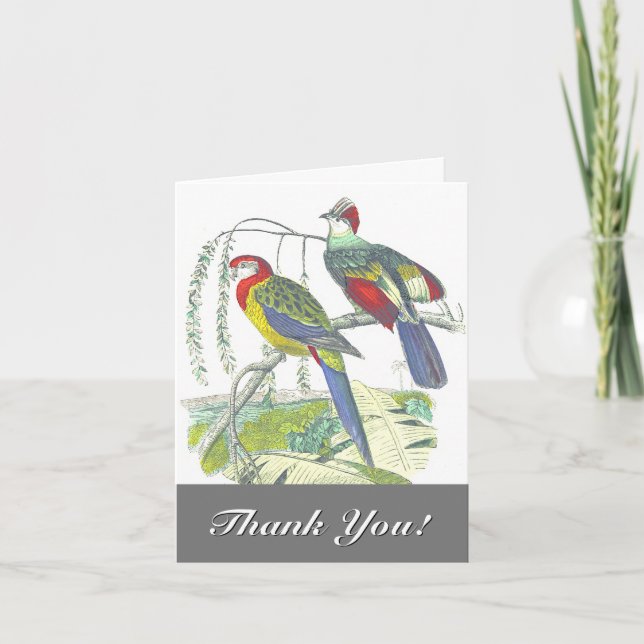 Carte 2 Oiseaux perchés sur une branche, "Merci !" (Devant)