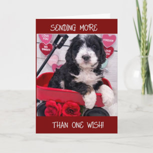 CARTE "2 SOUHAITS À MON MEILLEUR AMI POUR VOTRE ANNIVERS