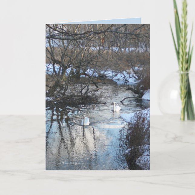 Carte 2 swans en hiver (Devant)