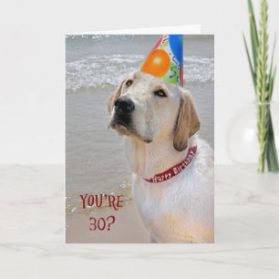 Carte 30e anniversaire Retriever