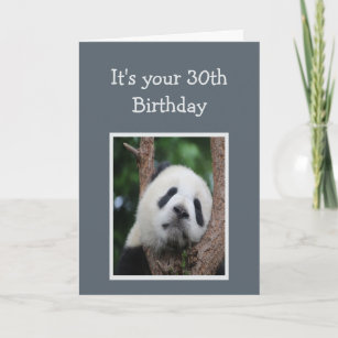 Cartes De Vœux Ours Panda Triste Zazzle Fr