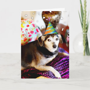 Carte 311 Je Suis Retraité ! Je pourrais juste pisser av