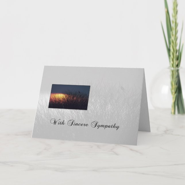 Carte 3628 Sympathies Oiseaux (Devant)