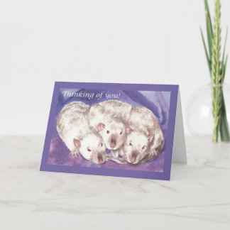 Carte 3 Himis pense à toi