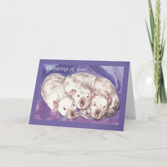 Carte 3 Himis pense à toi (Devant)