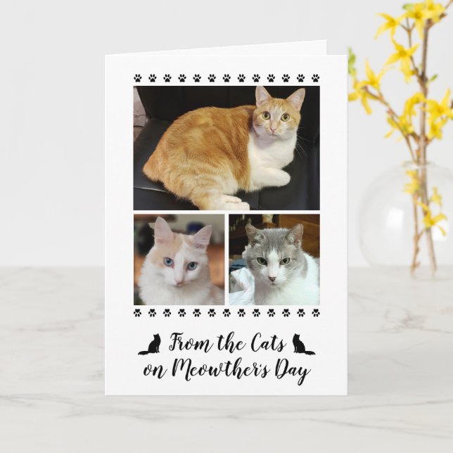 Carte 3 Script photo de chat chien animal de compagnie 5 (Fleur jaune)