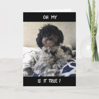 **40** A L'AIR TRÈS BIEN SUR VOUS ! JOYEUX ANNIVER