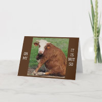 *40* HUMOUR D'ANNIVERSAIRE D'UNE VACHE À MOURIR