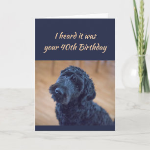 Carte 40e anniversaire amusant mignon bouclé noir chien