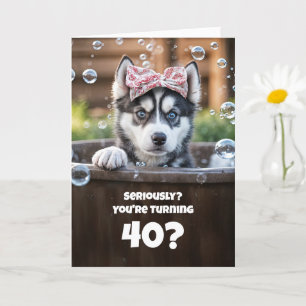 Carte 40e anniversaire mignon et drôle surpris Husky