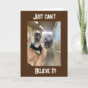 Carte "40e ANNIVERSAIRE ? ? ? NE PEUT JUSTE PAS CROIRE L