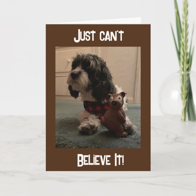 Carte "40e ANNIVERSAIRE ? ? ? NE PEUT JUSTE PAS CROIRE L (Devant)