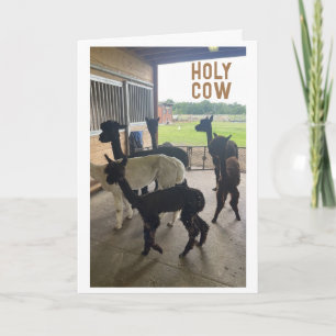 Carte "40e ANNIVERSAIRE ? ? ? NE PEUT JUSTE PAS CROIRE L