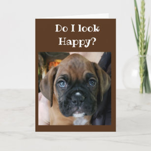 Cartes Humour Veterinaire D Anniversaire Zazzle Fr