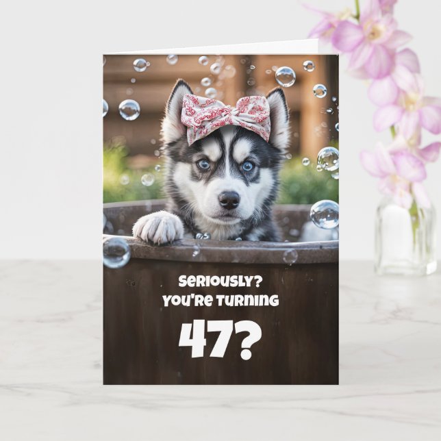 Carte 47th Birthday Cute and Funny Husky Dog in Tub (Orchidée)