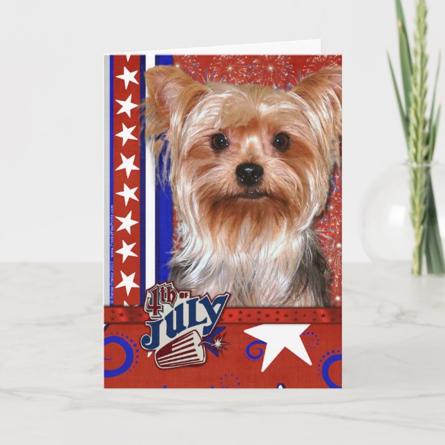 Carte 4 juillet Firecracker - Yorkshire Terrier (Devant)