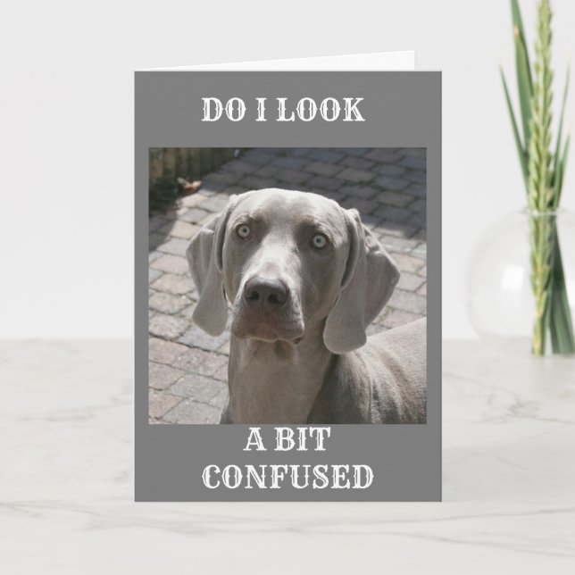 CARTE "50" COMMENT PEUT-ON DIRE WEIMARANER (Devant)