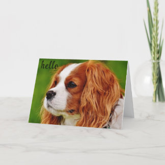 CARTE **50** COMMENT SE SENTENT-ILS L'HUMOUR D'ANNIVERSA