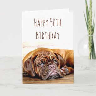 Carte 50e anniversaire Chien triste rester Humour provoc