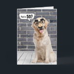 Carte 50e anniversaire Funny Golden Retriever Card<br><div class="desc">Un récupérateur d'or portant un drôle de masque de moustache sur un mur en brique grise et le parquet avec bulle vocale pour 50ème anniversaire. Peut être changé pour n'importe quel âge d'anniversaire. Le texte est modifiable.</div>