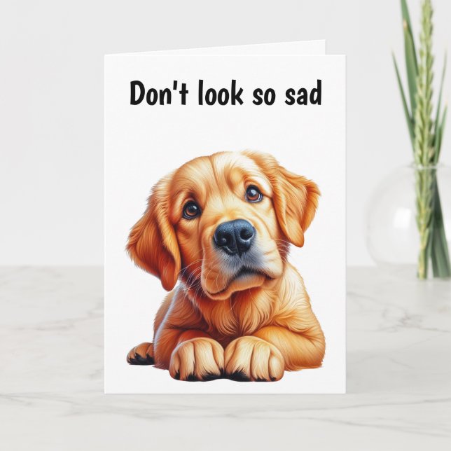 Carte 50e anniversaire Golden Retreiver (Devant)