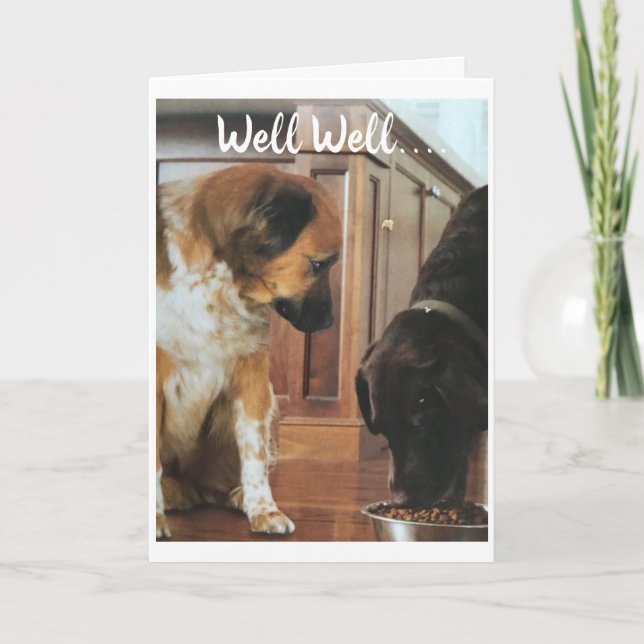 Carte **50e ANNIVERSAIRE** HUMOUR DES CHIENS ! (Devant)