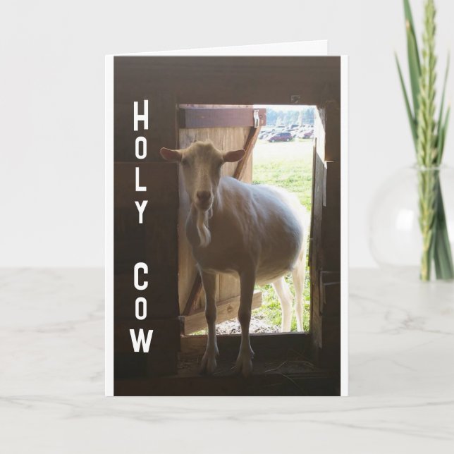 Carte "50e ANNIVERSAIRE ? ? ? NE PEUT JUSTE PAS CROIRE L (Devant)