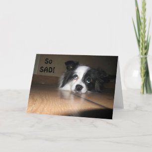 Carte 50e ANNIVERSAIRE - VOUS POURREZ ENCORE JOUER