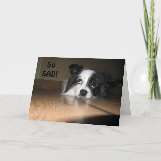 Carte 50e ANNIVERSAIRE - VOUS POURREZ ENCORE JOUER (Devant)