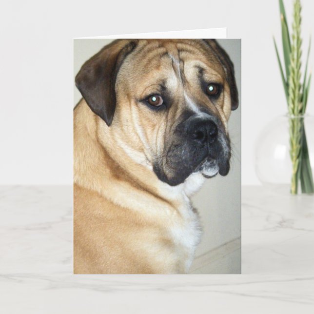 CARTE 50E MAIS TOUJOURS LE CHIEN EN HAUT (Devant)