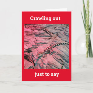 Carte *50th BIRTHDAY* FROM THIS COOL LIZARD Card