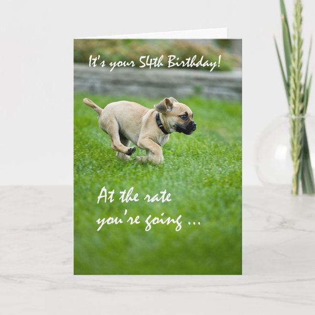 Carte 54e anniversaire Puppy Running (Devant)