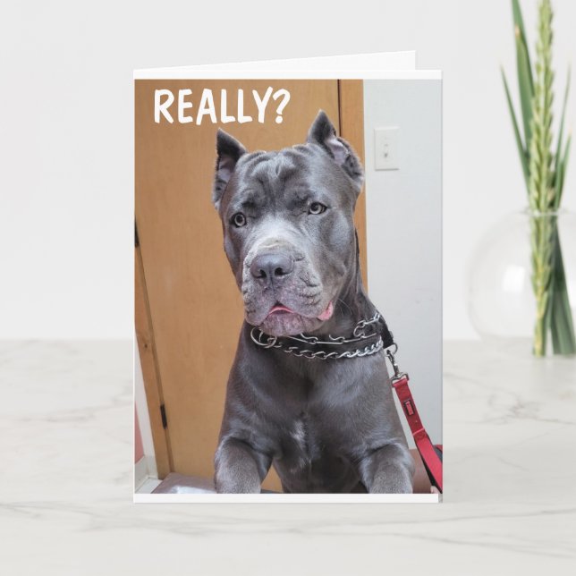 CARTE ***60*** ET VOUS AVEZ TOUJOURS L'AIR "FANTASTIQUE" (Devant)