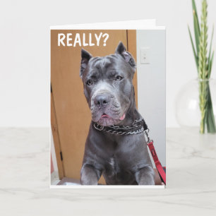 CARTE ***60*** ET VOUS AVEZ TOUJOURS L'AIR "FANTASTIQUE"