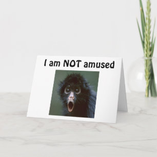 CARTE **60 ?** VOUS NE REGARDEZ PAS UNE JOURNÉE DE PLUS