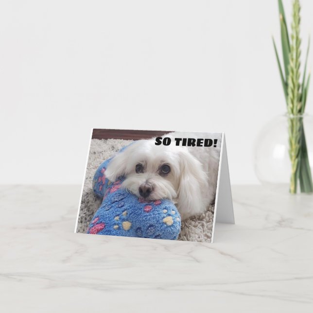 Carte *60e anniversaire* HA HA HA HA HA (HUMOUR CHIEN FU (Devant)