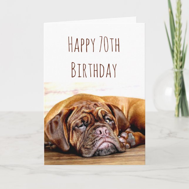 Carte 70e anniversaire Chien triste rester Humour provoc (Devant)