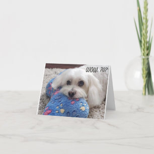 Carte *70e anniversaire* HA HA HA (HUMOUR CHIEN FUNNY) C