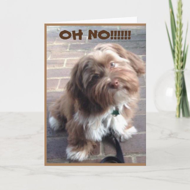 Carte **70e ANNIVERSAIRE** OH NON DIT PUPPY (Devant)
