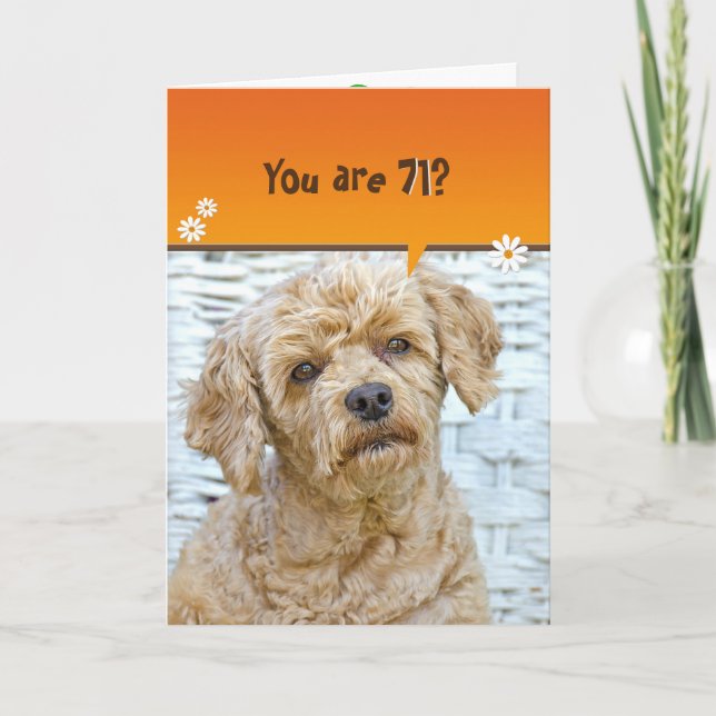 Carte 71e anniversaire caniche brune en osier (Devant)