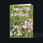 Carte 75e Birthday<br><div class="desc">Photographe de some pretty wild flowers taken late afternoon. 75e anniversaire ! Inside en Blue Lettering : Have A Wonderful Day !</div>