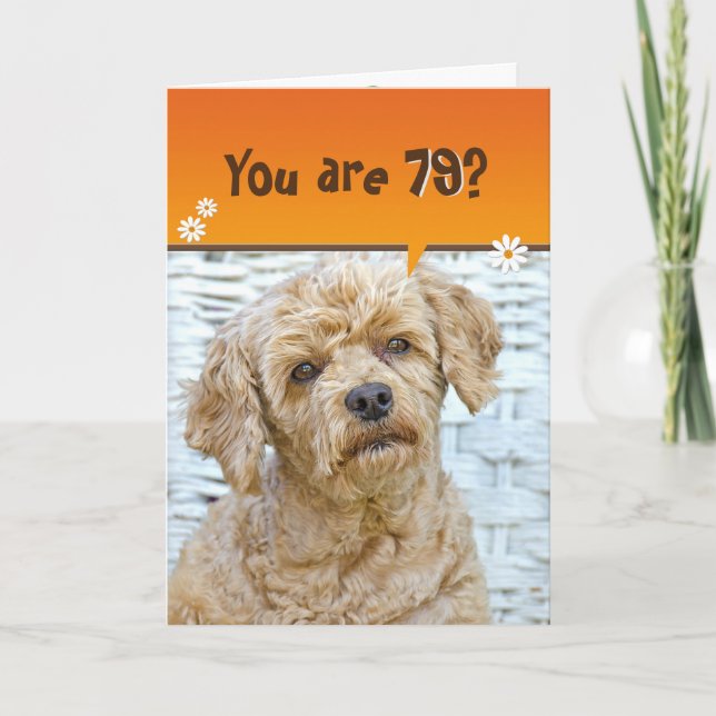 Carte 79e anniversaire brun caniche en osier (Devant)