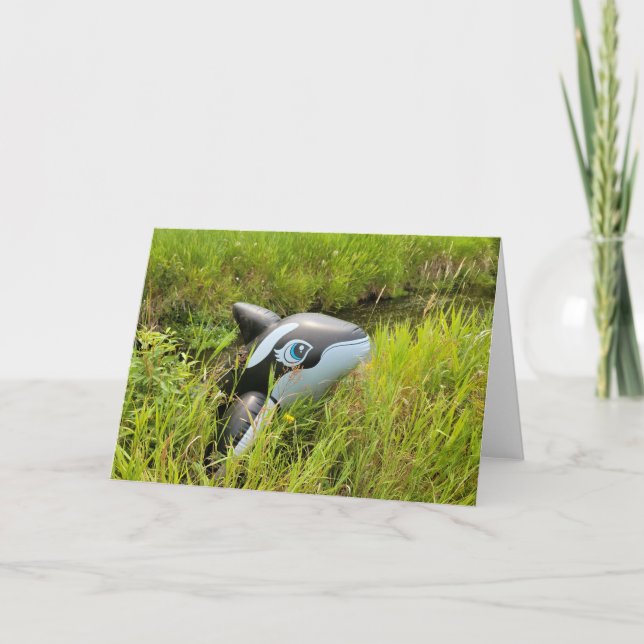Carte 7"x5" Folded Card || Sage Creek Orca (Devant)