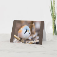 *80e* SOUHAITS D'ANNIVERSAIRE DE LA NORVÈGE PHOT C