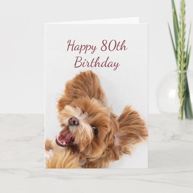 Carte 90e Anniversaire Amusement Commencer mignon Chien  (Devant)