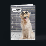 Carte 90e anniversaire Funny Golden Retriever Card<br><div class="desc">Un récupérateur d'or portant un drôle de masque de moustache sur un mur en brique grise et le parquet avec bulle vocale pour 90ème anniversaire. Peut être changé pour n'importe quel âge d'anniversaire. Le texte est modifiable.</div>