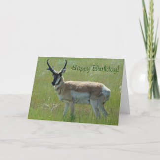 Carte A36 Pronghorn Antelope Big Buck