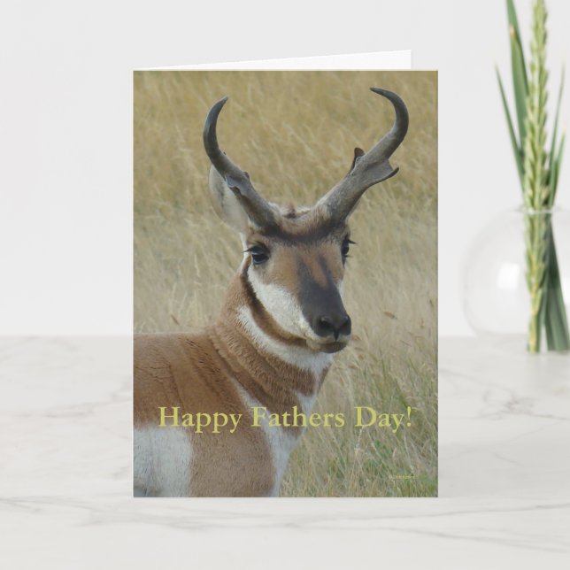 Carte A5 Pronghorn Antelope Head Shot (Devant)