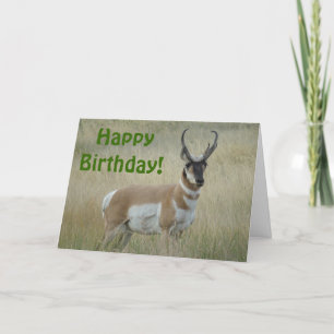 Carte A8 Pronghorn Antelope Big Buck