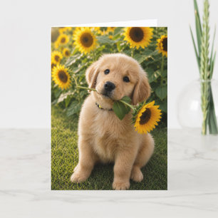 Carte A&B Benny Tournesol